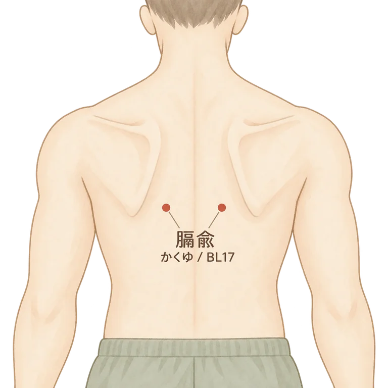 膈兪の位置図