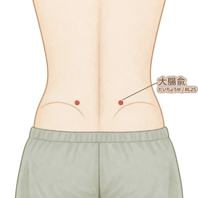 大腸兪の位置図
