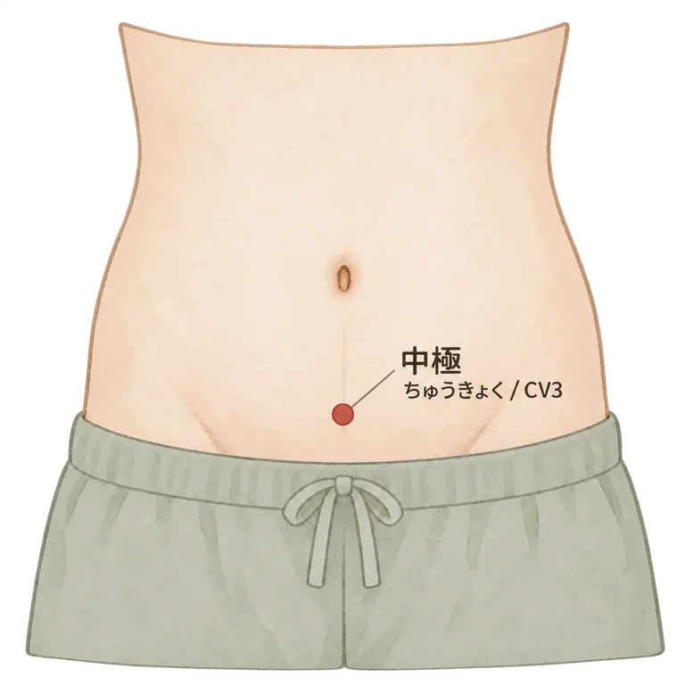 中極の位置図