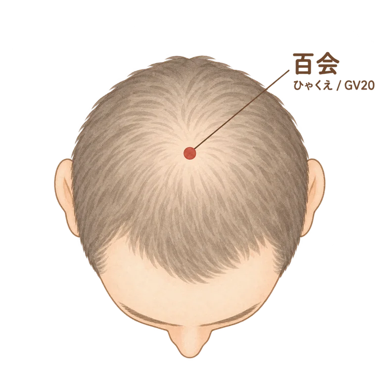 百会（GV20）の位置イラスト