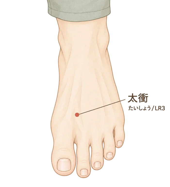 太衝（LR3）の位置イラスト